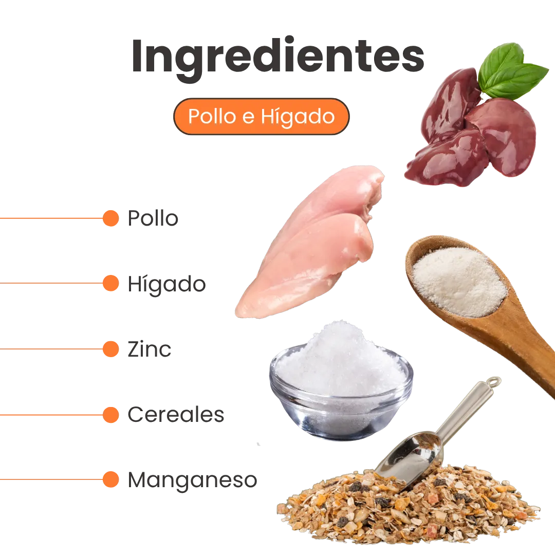 Alimento Húmedo Goulash Pollo y Salmón Kanu Pet para perro adulto Lata