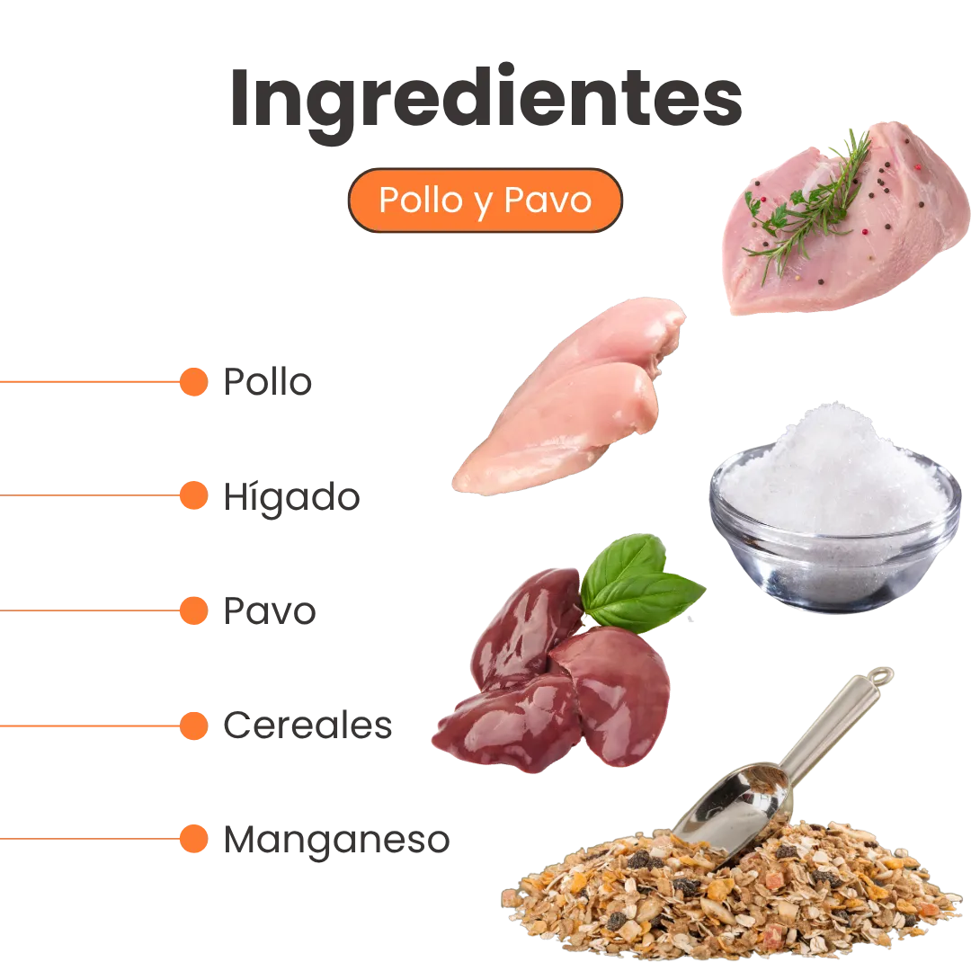 Alimento Húmedo Goulash Pollo y Pavo Kanu Pet para perro adulto Lata