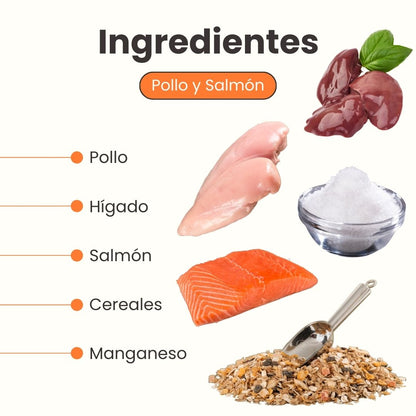 Alimento Húmedo Goulash Pollo y Salmón Kanu Pet para perro adulto x 400 g