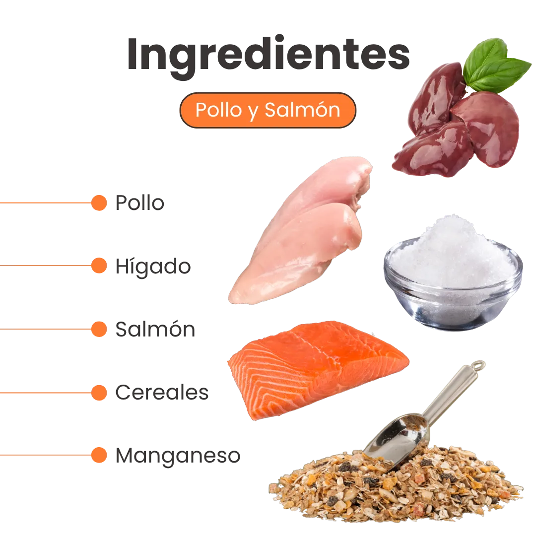 Alimento Húmedo Goulash Pollo Hígado Kanu Pet para perro adulto Lata