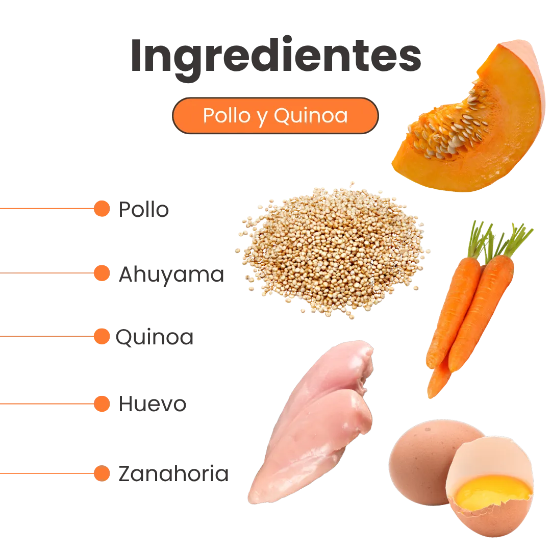 Alimento Congelado Nativo Fresh sabor a Pollo y Quinoa Kanu Pet para perros. 100% Comida Real