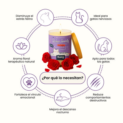 Vela Reduce Anxiety Kanu Pet para Gatos aroma Rose Temptation