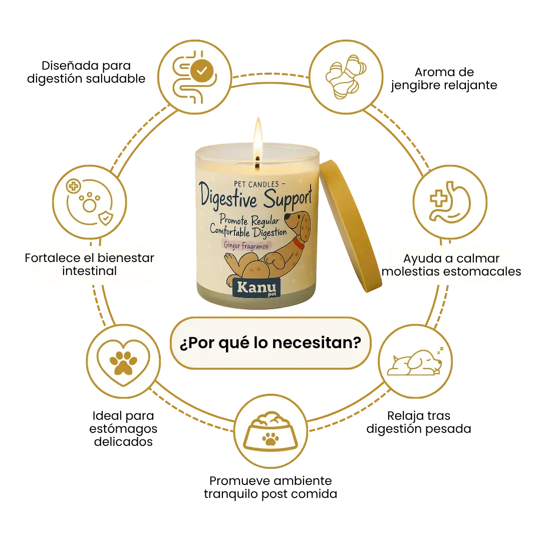 Vela Digestive Support Kanu Pet para Perros aroma Ginger