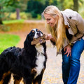Juguete Masticable Rar Bone Sabor Carne Kanu Pet para Perro