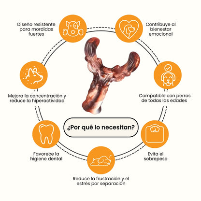 Juguete Masticable Tri Bone Sabor Carne Kanu Pet para Perro
