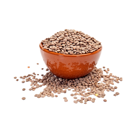 Lentejas_c90c3136-8209-4c22-81b1-66ee805864dc-Kanu Pet