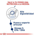 Alimento para perro Royal Canin Maxi Adulto