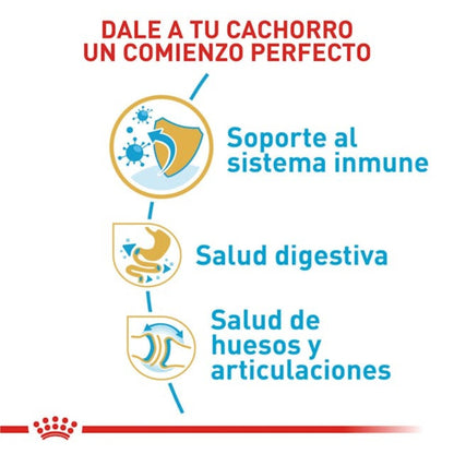 Alimento para perro Royal Canin Bulldog Inglés Cachorro