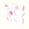 Alimento Para Gato Royal Canin Kitten Kit Especial