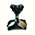 Pechera 4 estaciones Negro / Verde Menta Kanu Pet para Perro