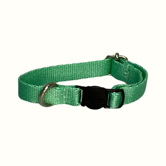 Collar Verde Menta Kanu Pet para Gato