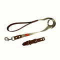 Combo Collar/Correa Vegano Beige Kanu Pet para Perro