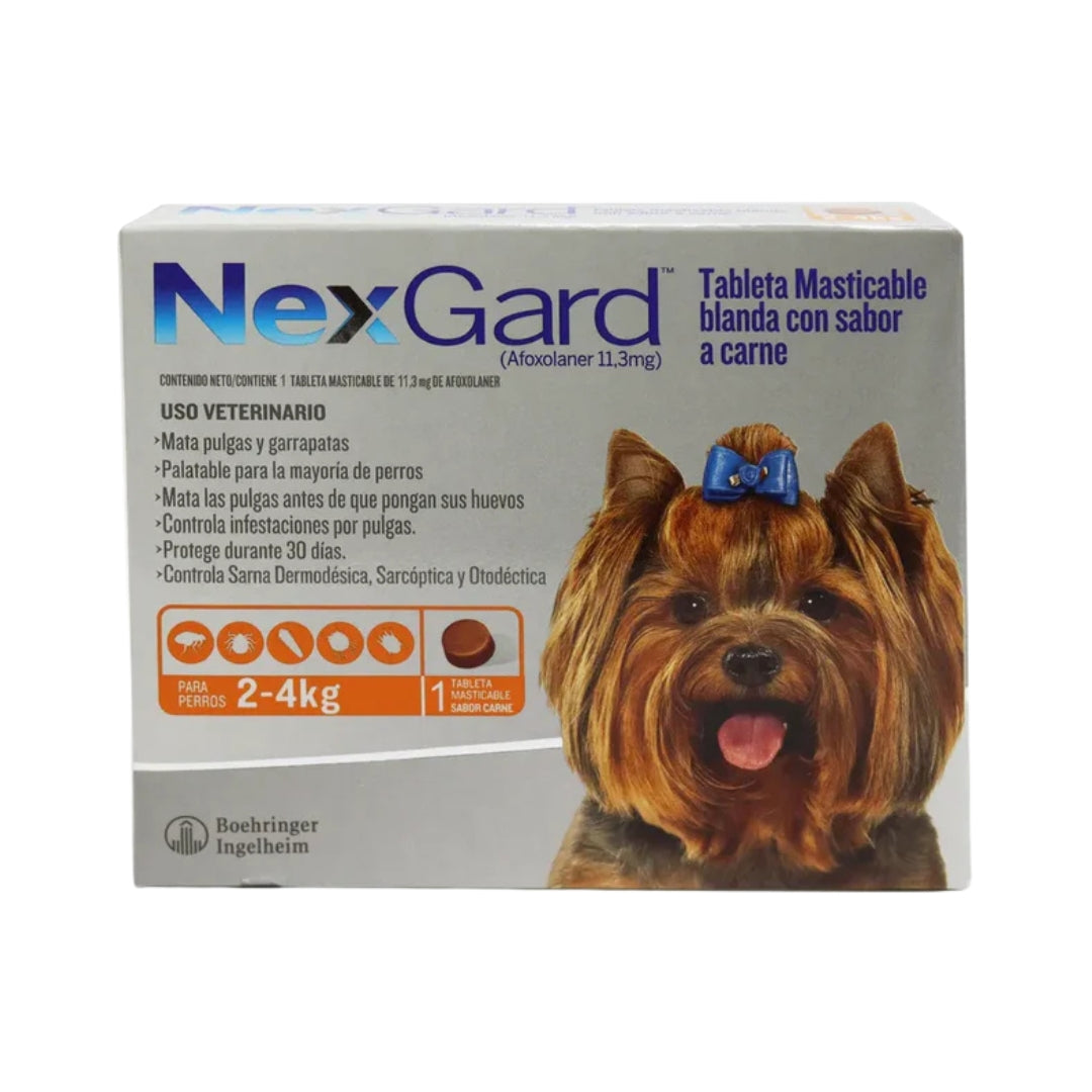 Antipulgas Nexgard para Perros de 2  a 4 Kg