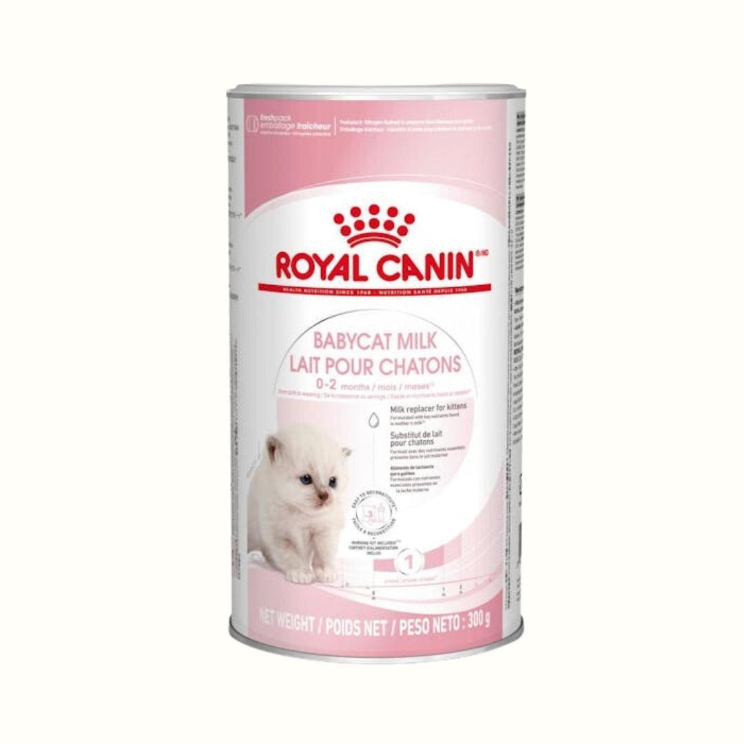 Alimento para Kitten Royal canin Babycat Milk-Kanu Pet