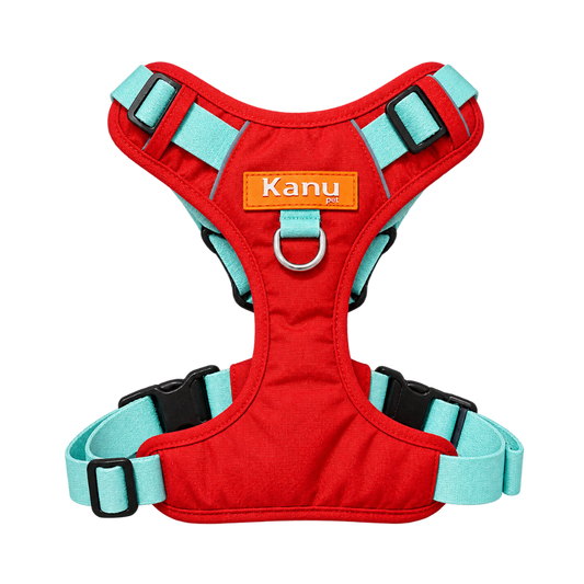 Pechera 4 estaciones Rojo / Verde Menta Kanu Pet para Perro