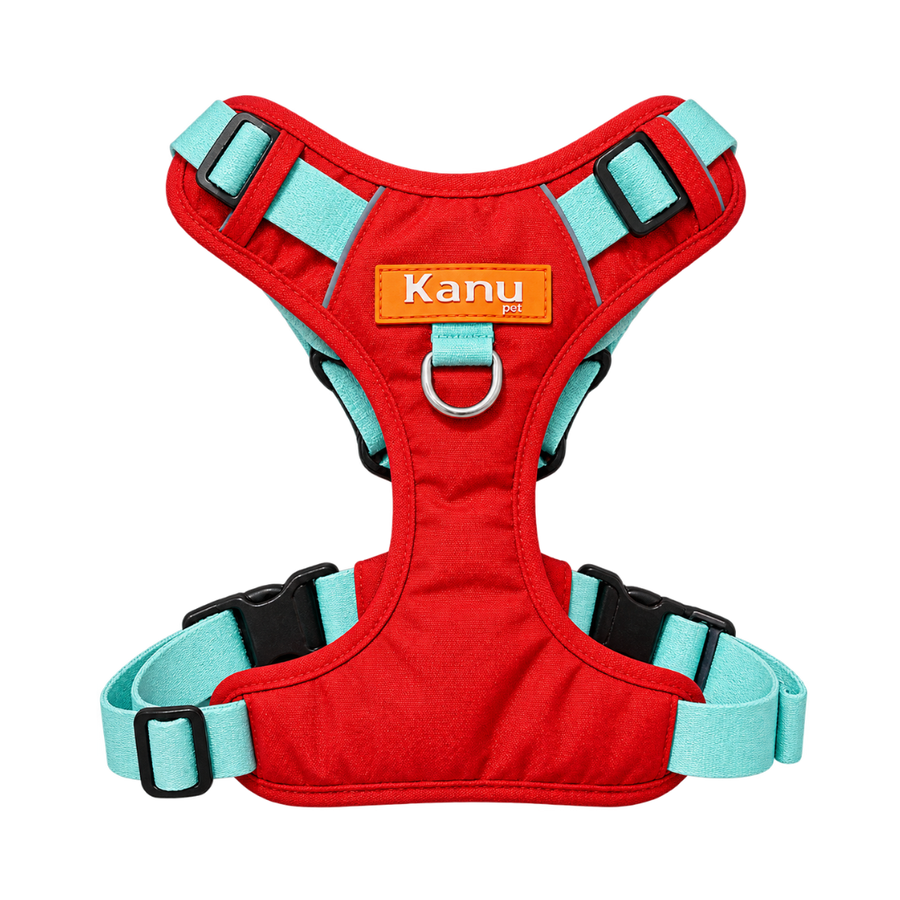 Pechera 4 estaciones Rojo / Verde Menta Kanu Pet para Perro
