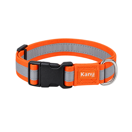 Collar Generico Naranja Kanu Pet para Perro