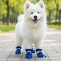 Botas Impermeable con Peluche Azul Rey Kanu Pet para Perro