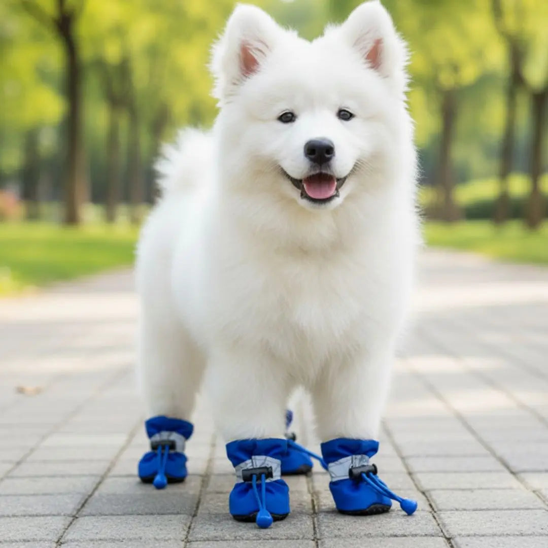 Botas Impermeable con Peluche Azul Rey Kanu Pet para Perro