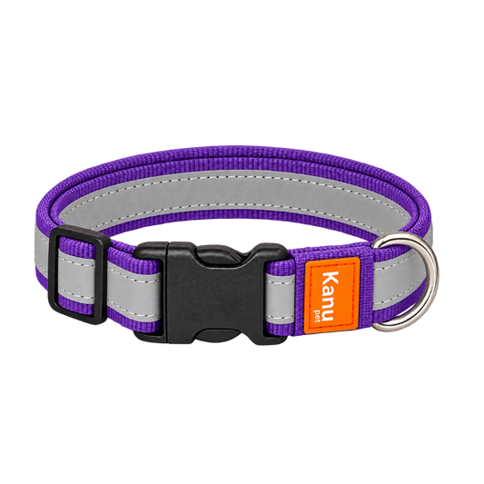 Collar Generico Morado Kanu Pet para Perro