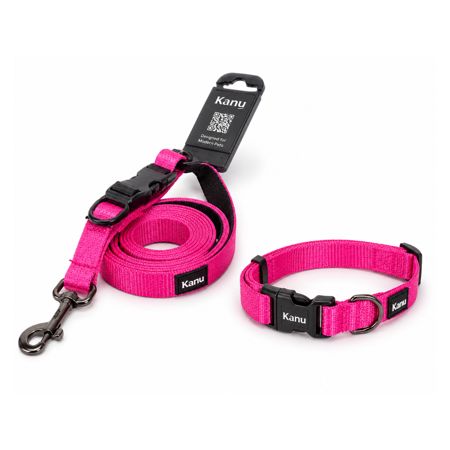 Combo Collar/Correa Fucsia Kanu Pet para Perro