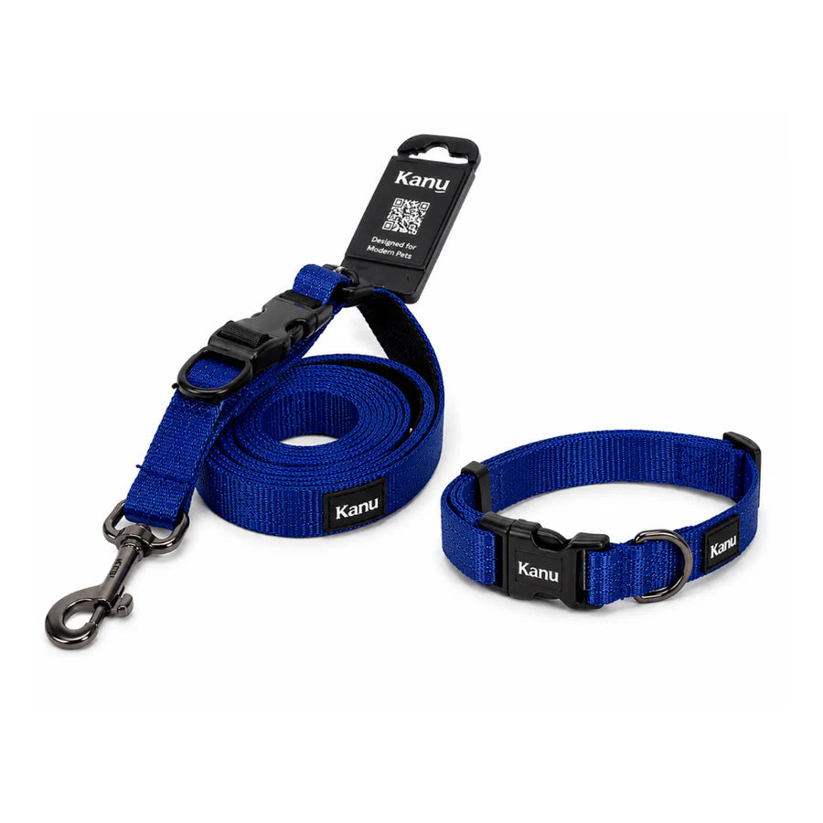 Combo Collar/Correa azul Rey Kanu Pet para Perro