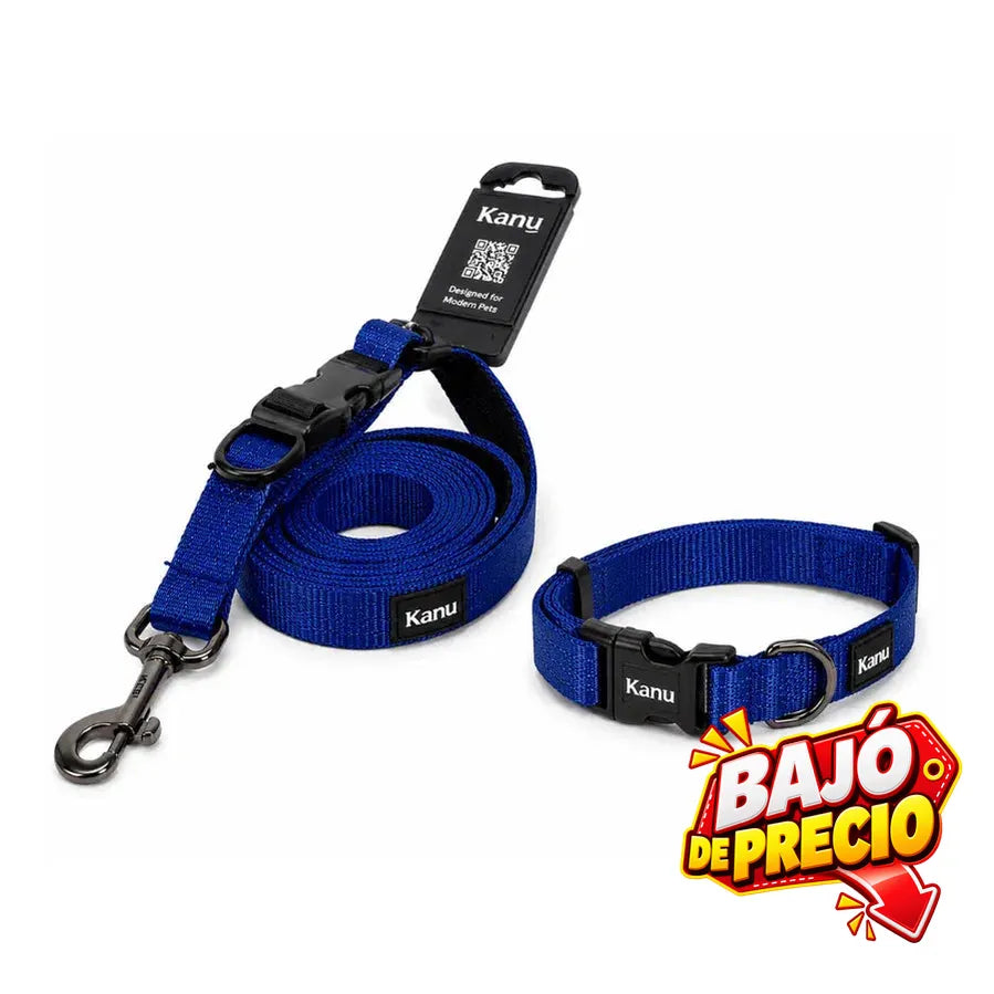 Combo Collar/Correa azul Rey Kanu Pet para Perro