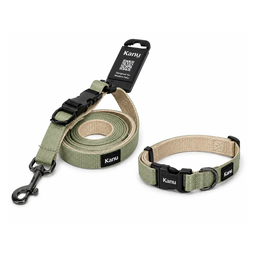 Combo Collar/Correa Verde-Beige Kanu Pet para Perro