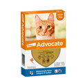 Antipulgas Advocate hasta 4 KG  para Gato