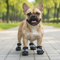 Botas Impermeable con Peluche Negro Kanu Pet para Perro