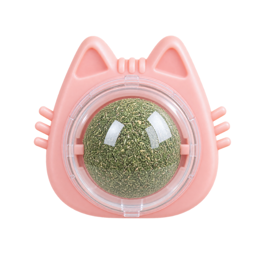 Rasca Lenguas Forma Gato con Catnip Sabor Menta Kanu Pet Para Gatos