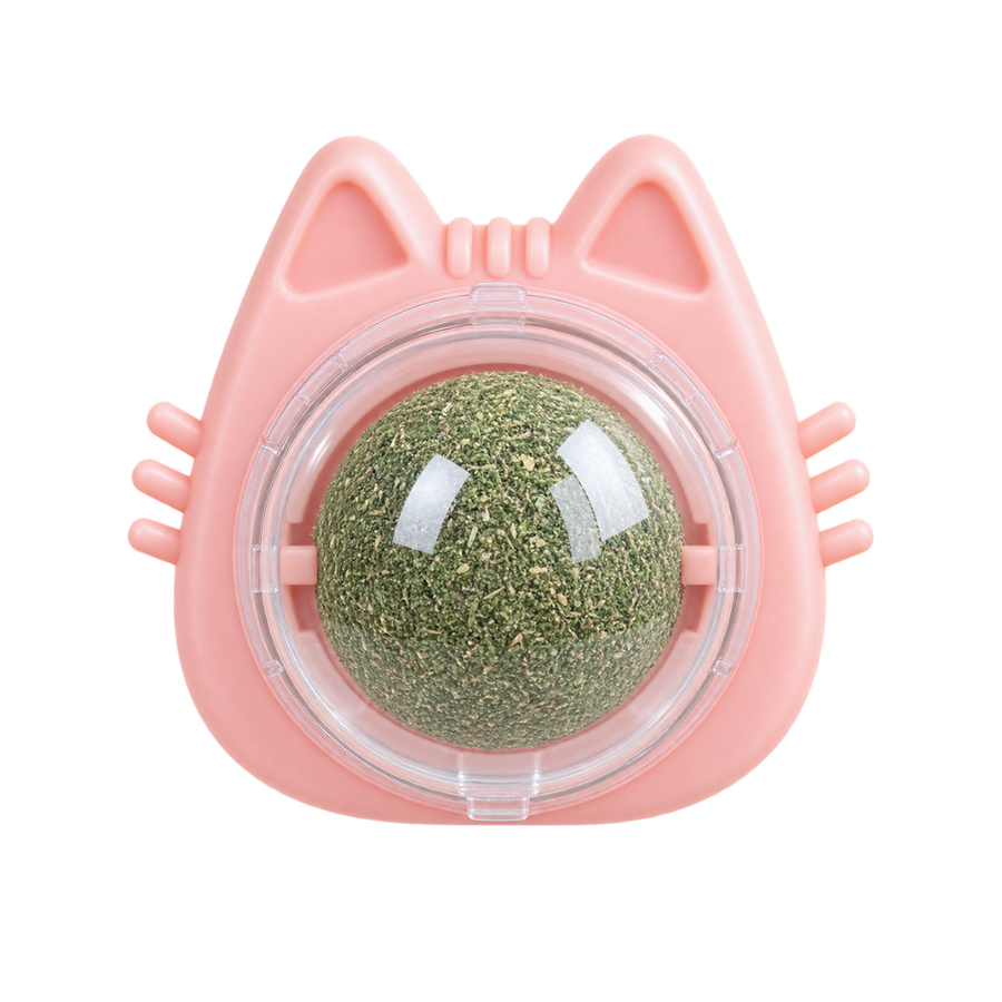 Rasca Lenguas Forma Gato con Catnip Sabor Menta Kanu Pet Para Gatos