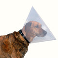 Isabelino Linevet 15 Cm para perro