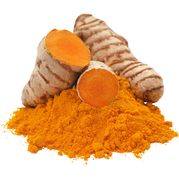 Curcuma
