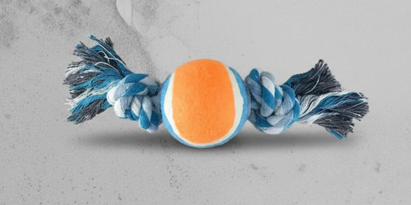 Pelotas y Lanzadores