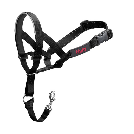 Coa Halti Headcollar T3 para perro