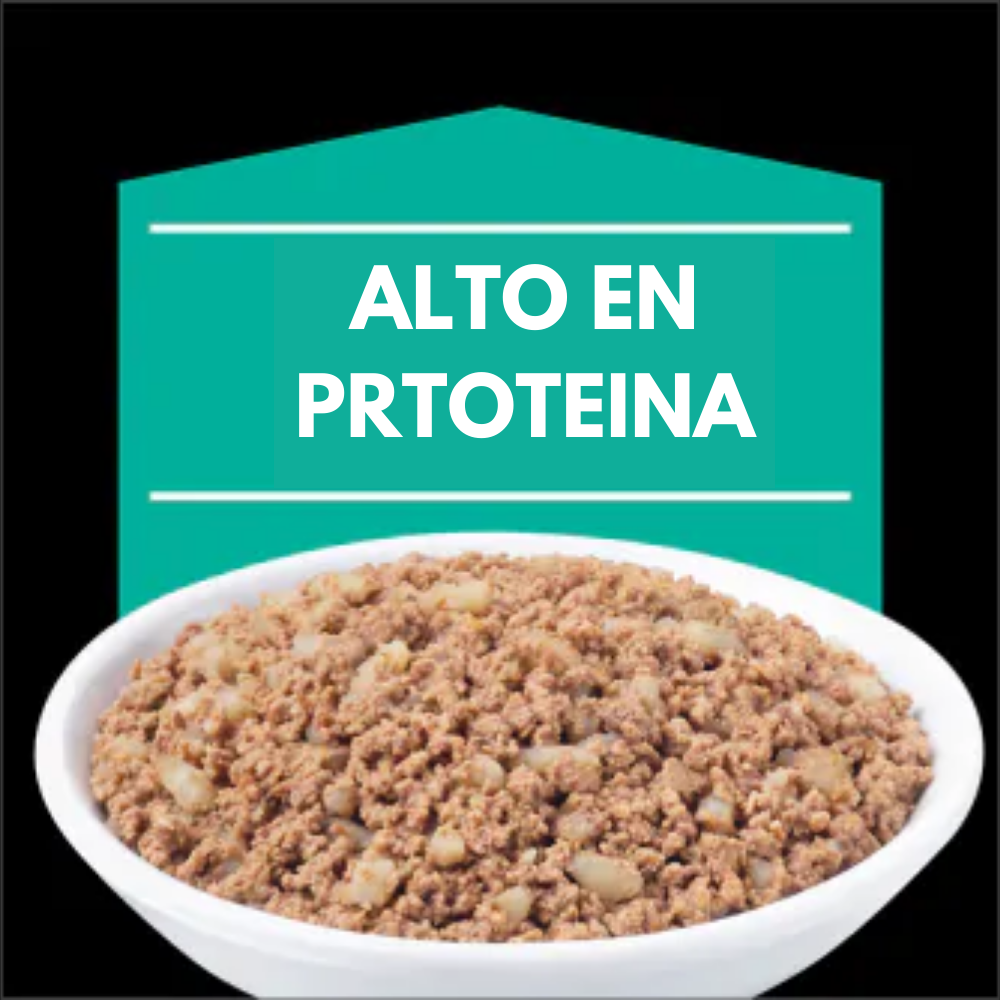 Alimento Para Gato Proplan Vet EN