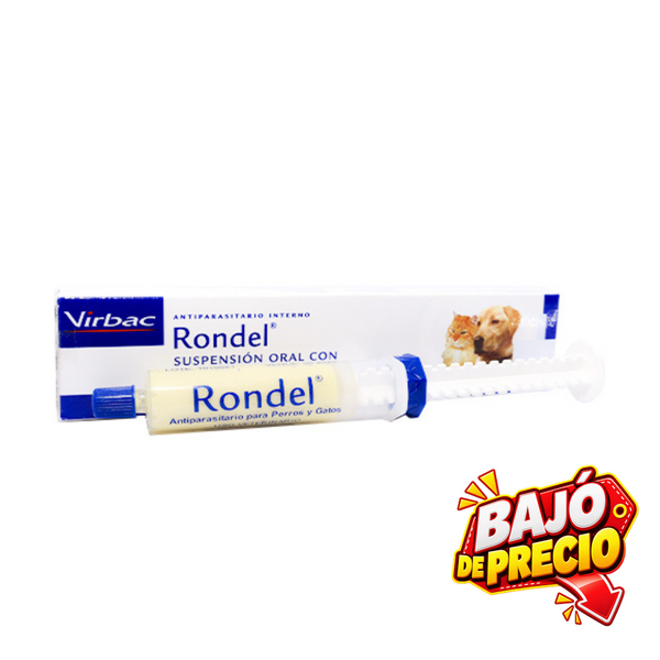 Rondel para todas