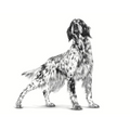 Alimento para perro Royal Canin Renal Support