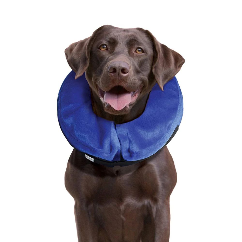 Collar Kong Para Recuperacion Perro-Kanu Pet