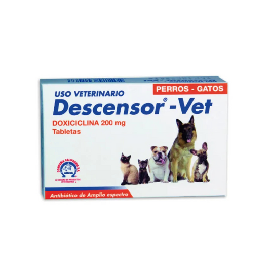 Descensor 1 tableta para todas
