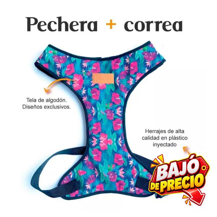 Pechera y Correa Floral Fedele Para Perro