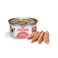 Alimento Para Gato Royal Canin Persa Kitten Especial Pack