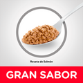 Alimento Para Gato Hills Adulto Salmon