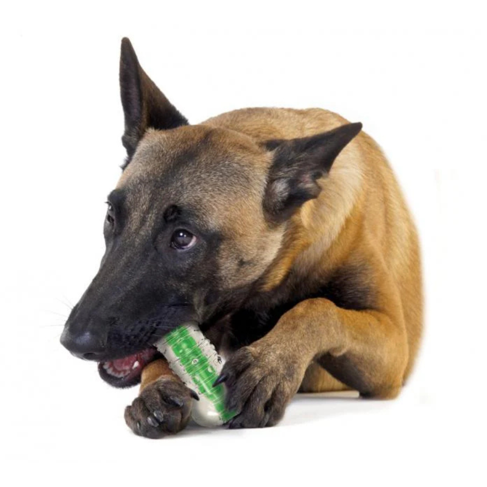 Mordedero crunchcore hueso para perro