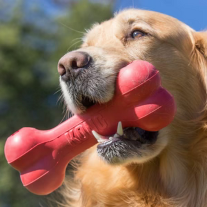 Portapasabocas kong hueso classic para perro