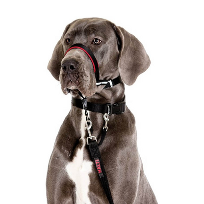 Coa Halti Headcollar T4 para perro