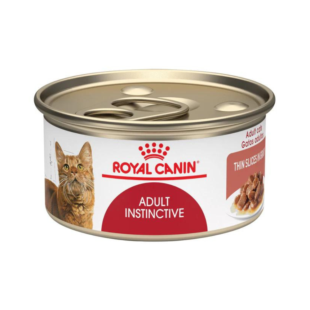 Alimento para gato Royal canin Lata Adulto