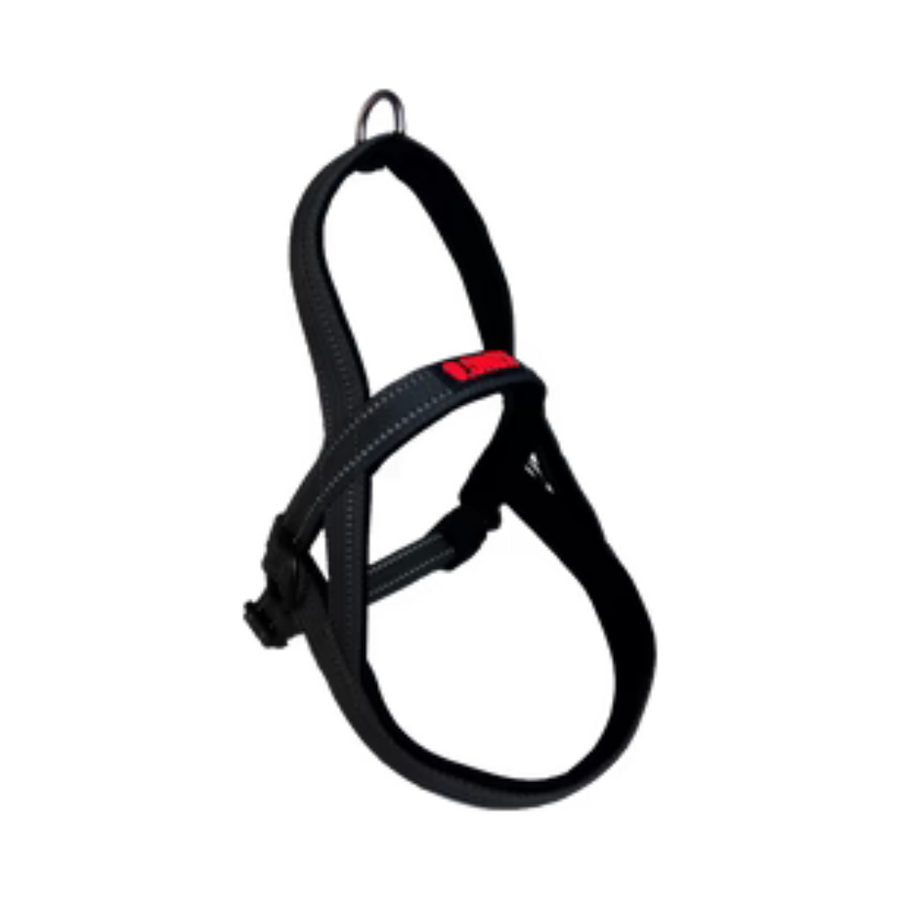 Arnes Kong Norwegian Negro Para Perro