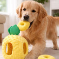 Juguete Interactivo Piña Kanu Pet para Perro